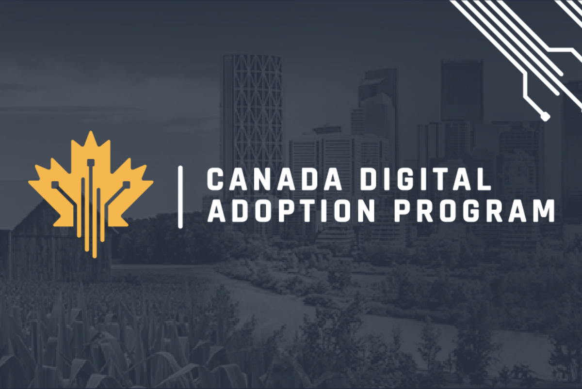 Canada Digital Adoption Program